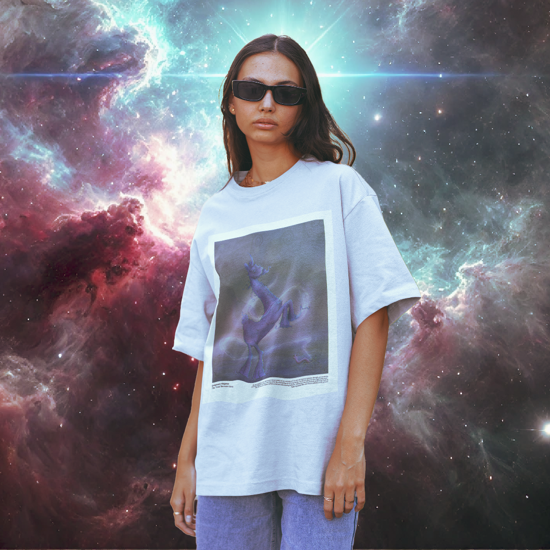 Enigmatic Elegance: Timid Terracorn Llama Heavy Oversized Tee